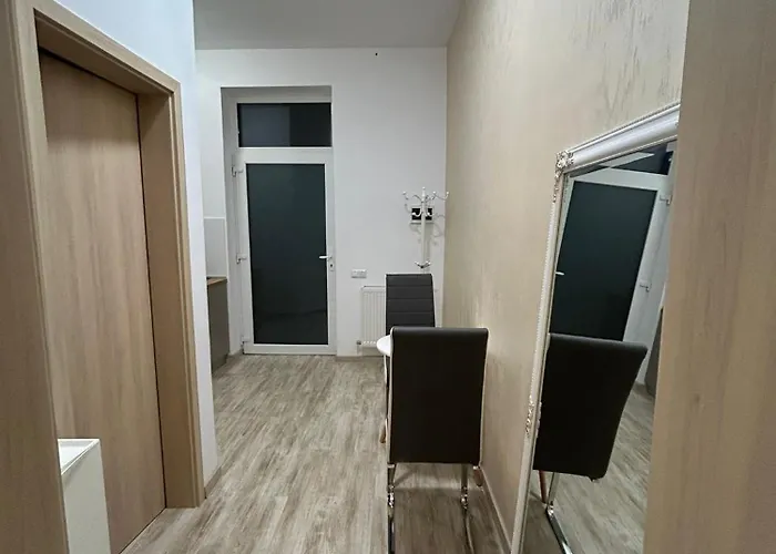 公寓 Vera 蒂米什瓦拉