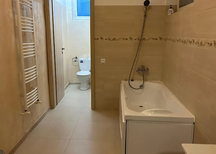 Vera 蒂米什瓦拉