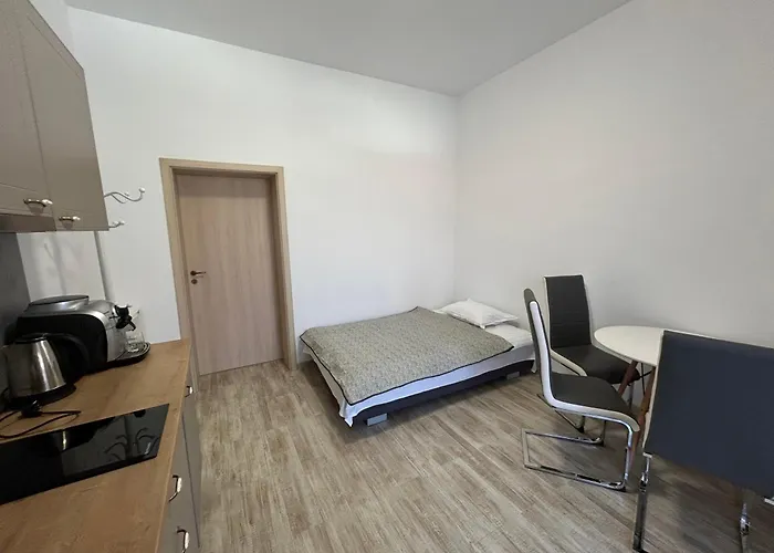 公寓 Vera 蒂米什瓦拉