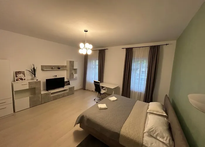 Vera 公寓 蒂米什瓦拉